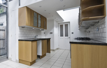 Bushey Heath kitchen extension leads